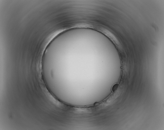 X0000113870852200910081725