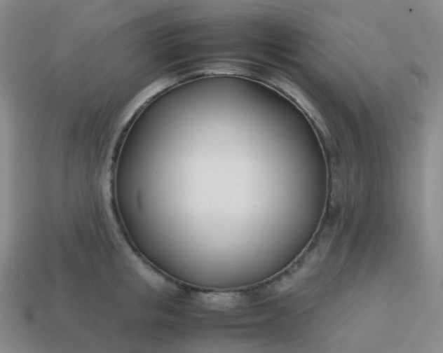 X0000113870853200910081725