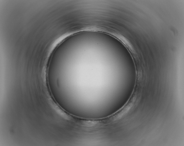 X0000113870854200910081725