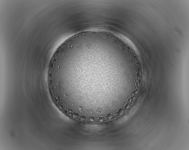 X0000113870855200910081725