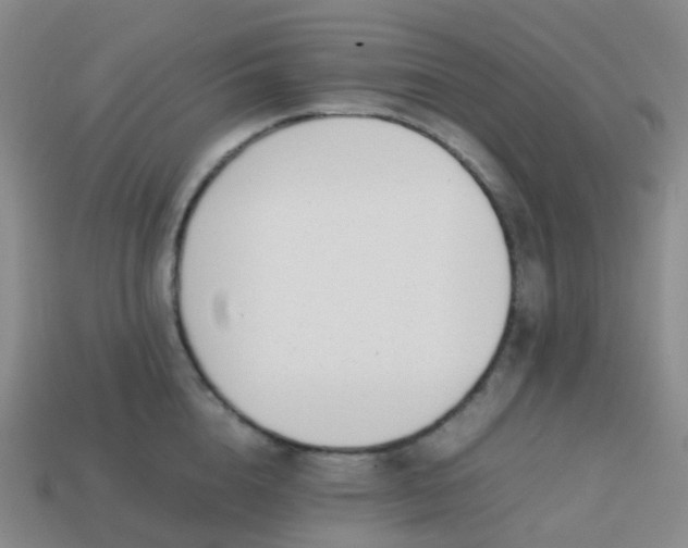 X0000113870856200910081725