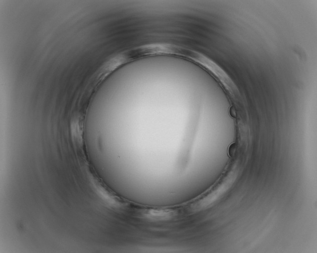 X0000113870857200910081725