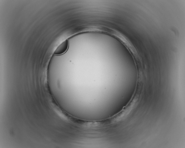 X0000113870858200910081725