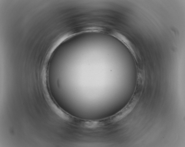 X0000113870859200910081725