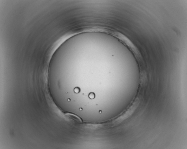 X0000113870860200910081725