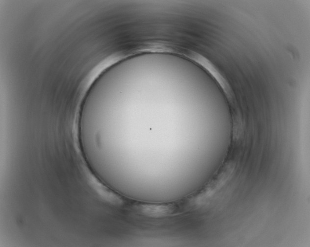 X0000113870861200910081725