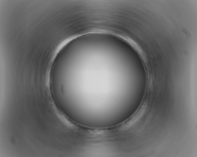 X0000113870862200910081725