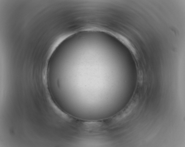 X0000113870863200910081725