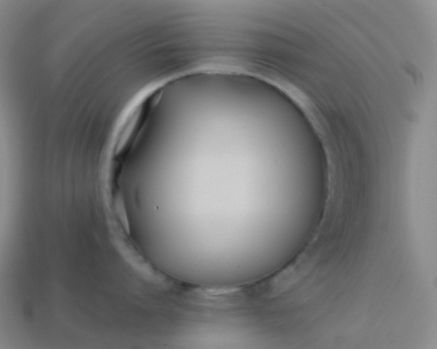 X0000113870864200910081725