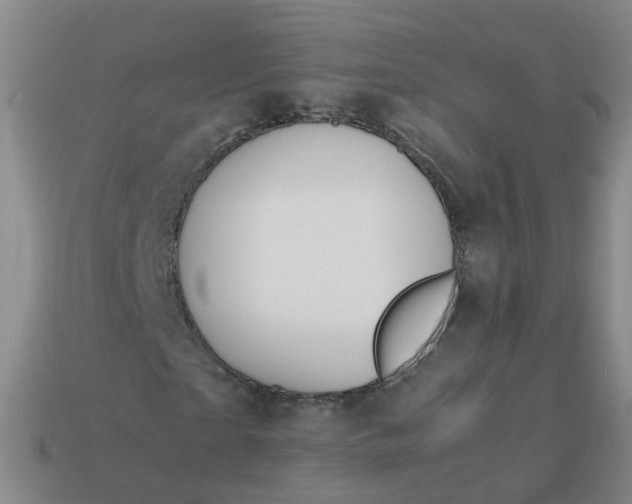 X0000113870865200910081725