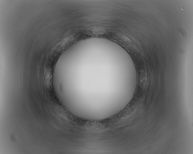 X0000113870866200910081725