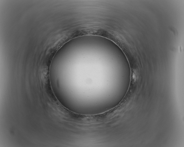 X0000113870867200910081725