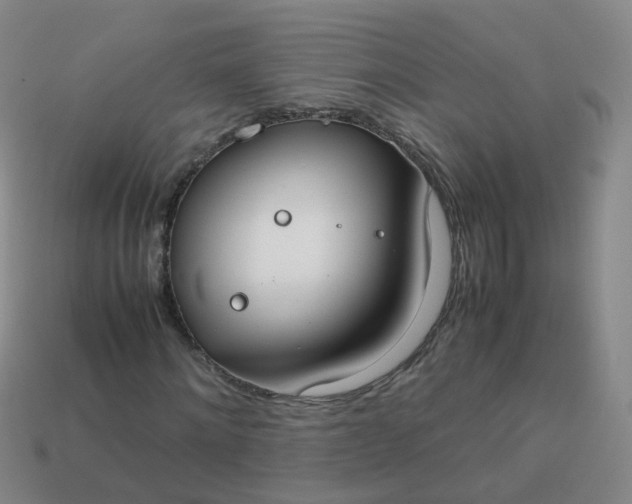 X0000113870868200910081725