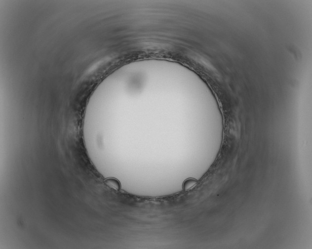 X0000113870869200910081725