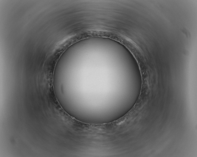 X0000113870870200910081725