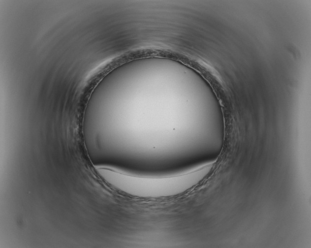 X0000113870872200910081725