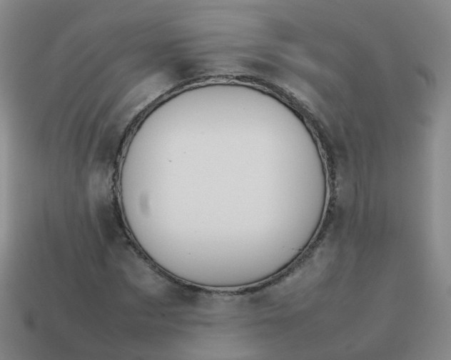 X0000113870873200910081725