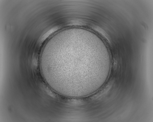 X0000113870874200910081725