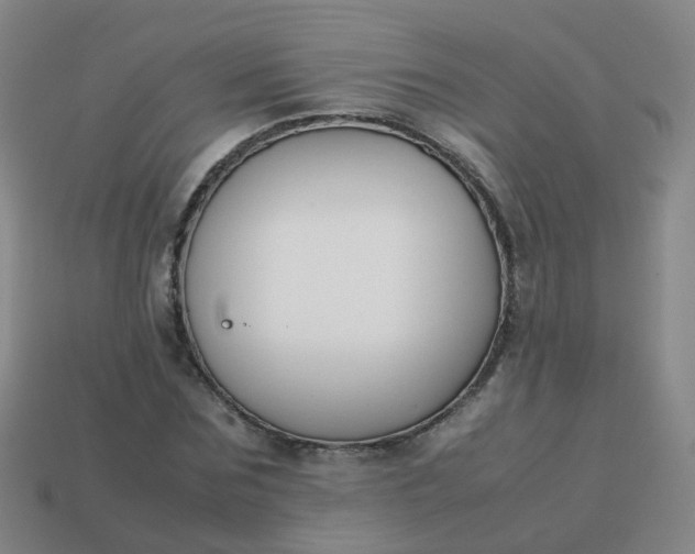 X0000113870875200910081725