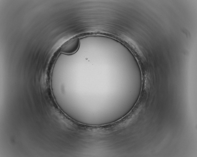 X0000113870876200910081725