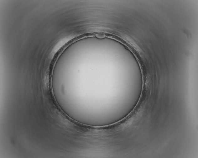 X0000113870877200910081725