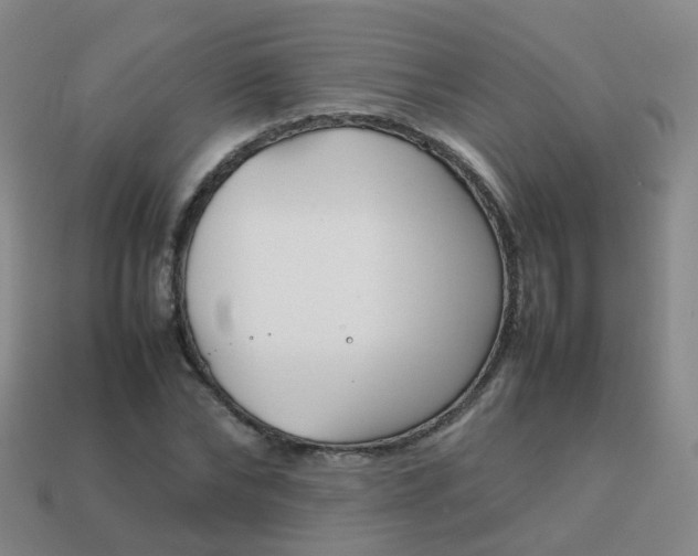 X0000113870878200910081725