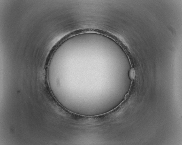 X0000113870879200910081725