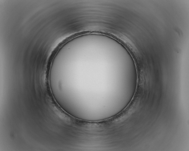 X0000113870880200910081725