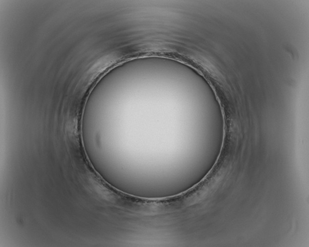 X0000113870881200910081725