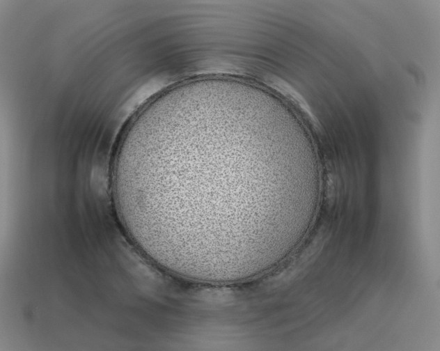 X0000113870882200910081725