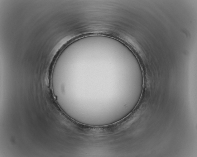 X0000113870883200910081725