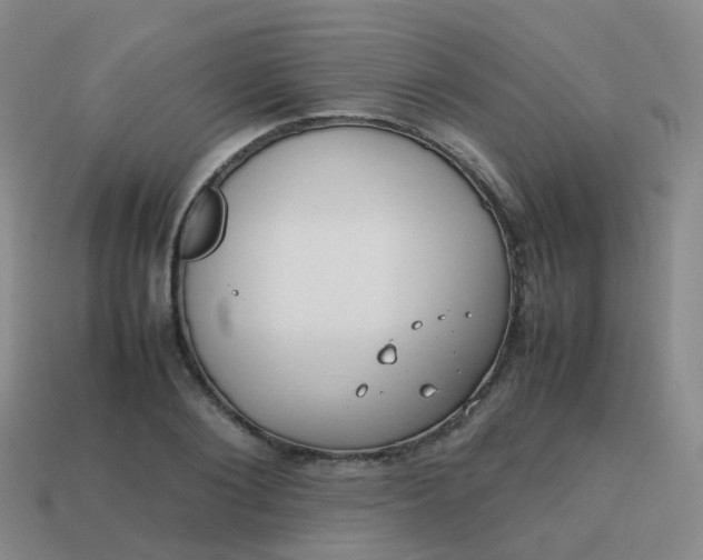 X0000113870884200910081725