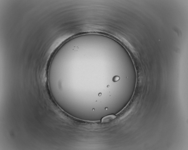 X0000113870885200910081725