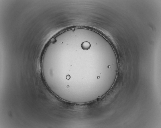 X0000113870887200910081725