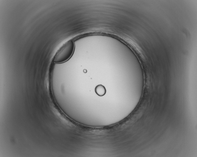 X0000113870888200910081725