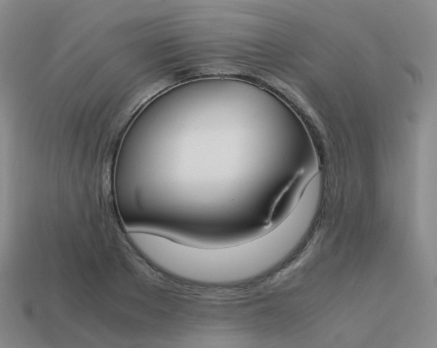 X0000113870889200910081725