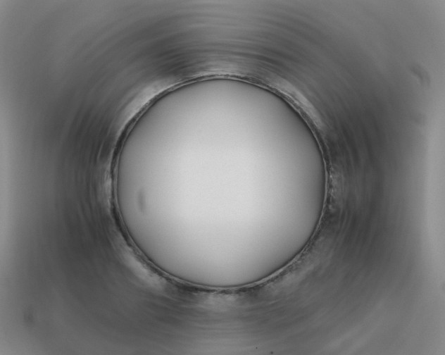 X0000113870890200910081724