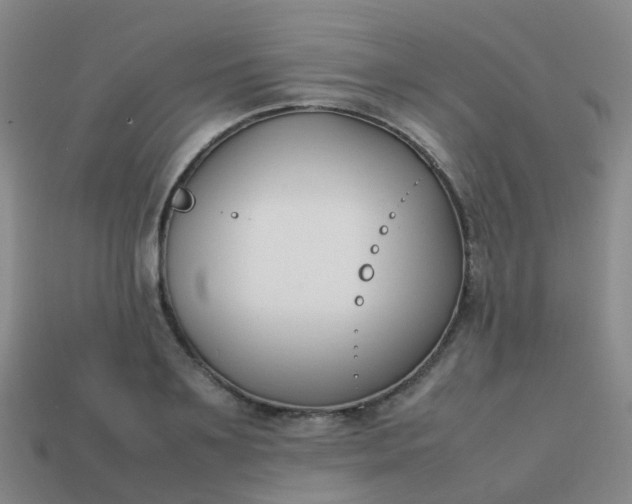 X0000113870891200910081724