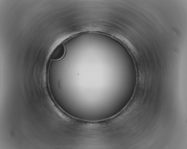 X0000113870894200910081724