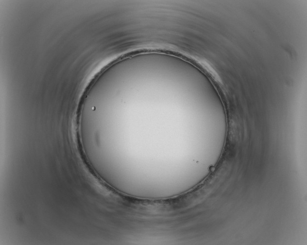 X0000113870895200910081724