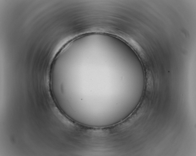 X0000113870896200910081724