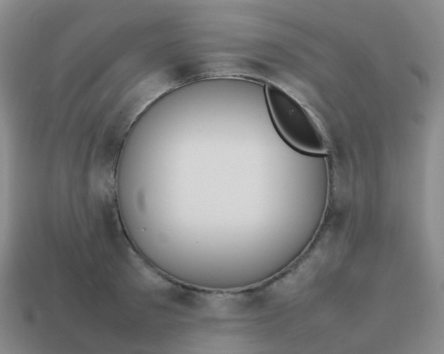 X0000113870897200910081724