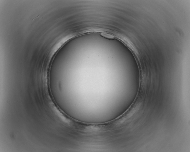 X0000113870898200910081724