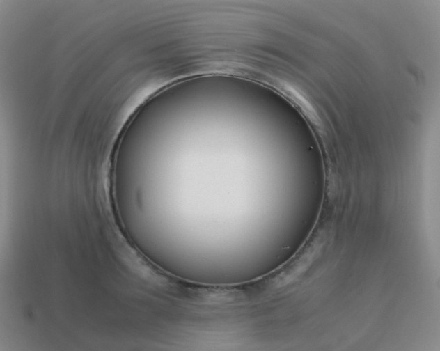 X0000113870899200910081724