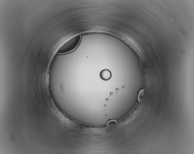 X0000113870900200910081724