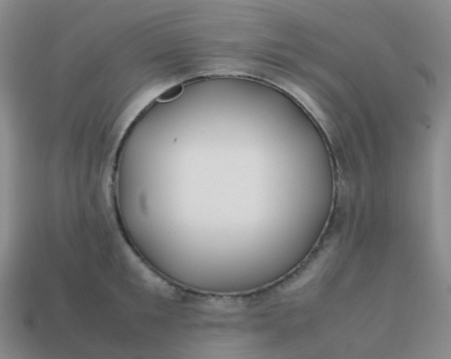 X0000113870901200910081724