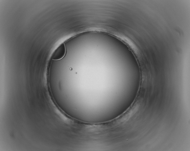 X0000113870902200910081724