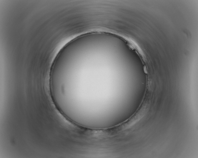 X0000113870903200910081724