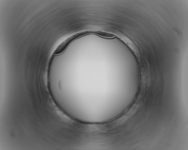 X0000113870904200910081724