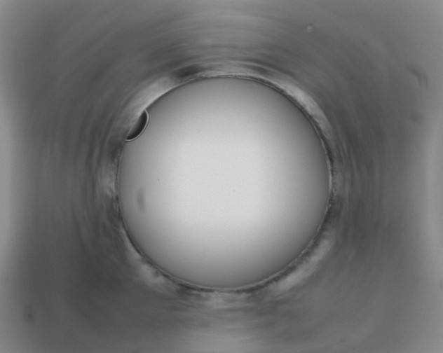 X0000113870905200910081724